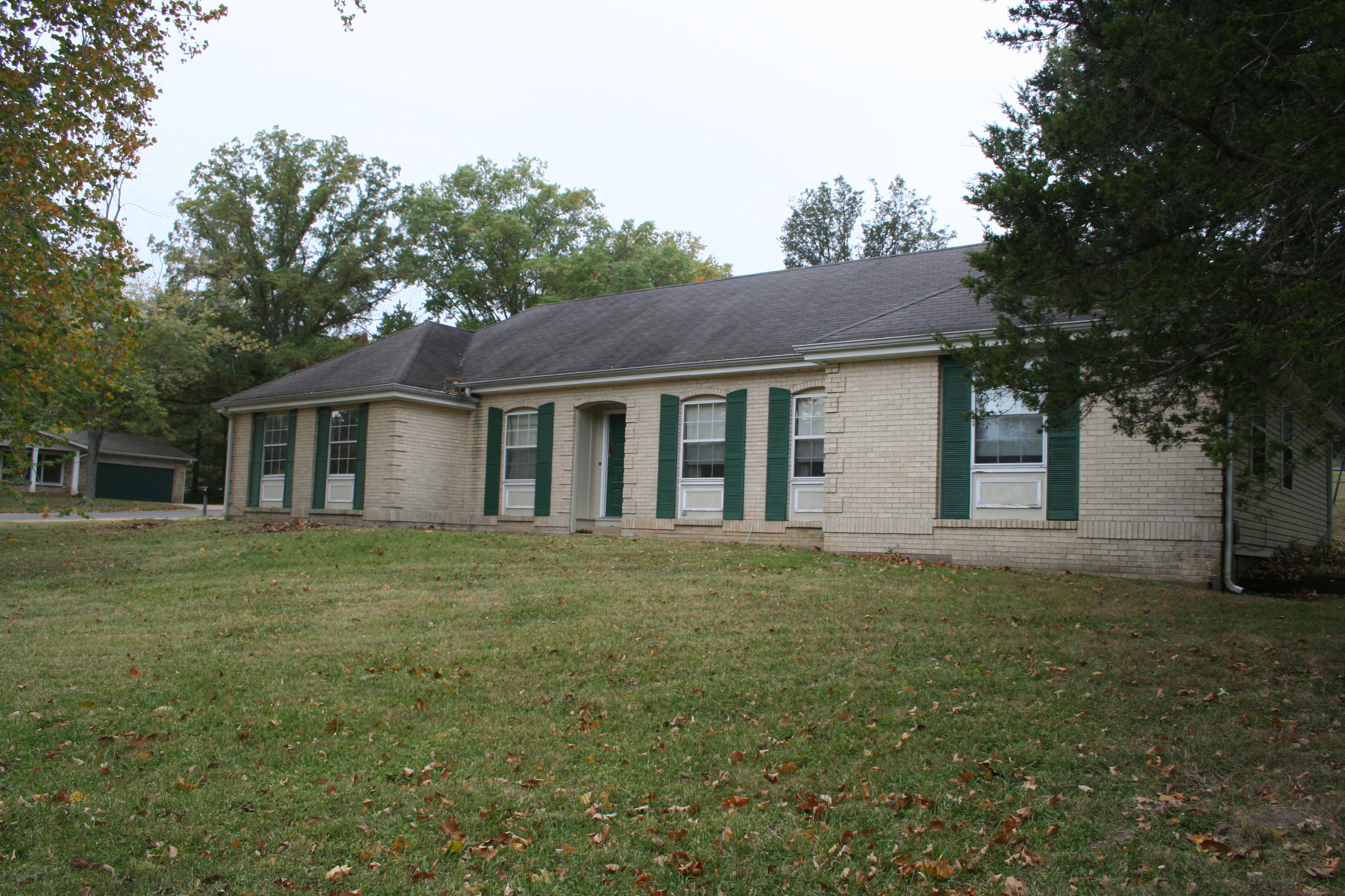 image-section
